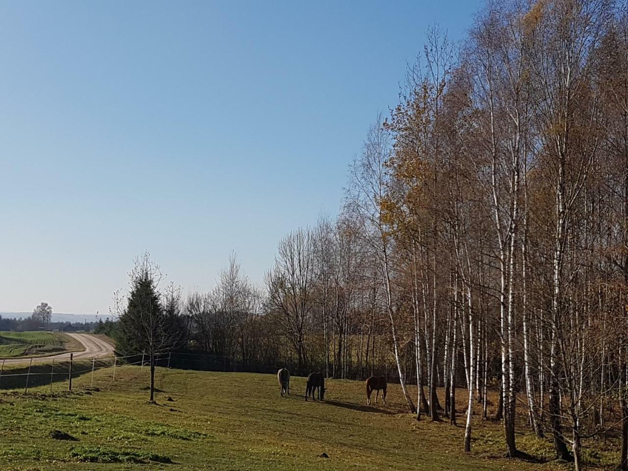 Villa Cheval Аукштадваріс Екстер'єр фото